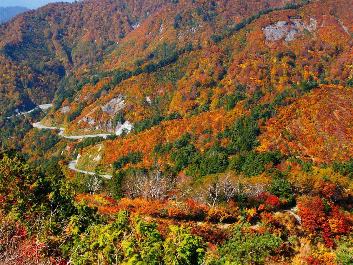 이치리노 코겐 호텔 로안 하쿠산 외부 사진